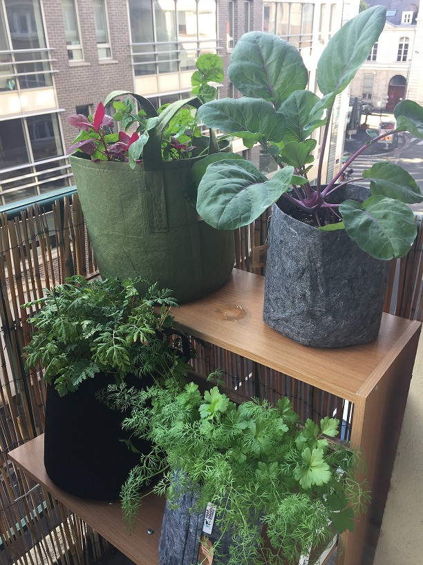 Balcon Permacool