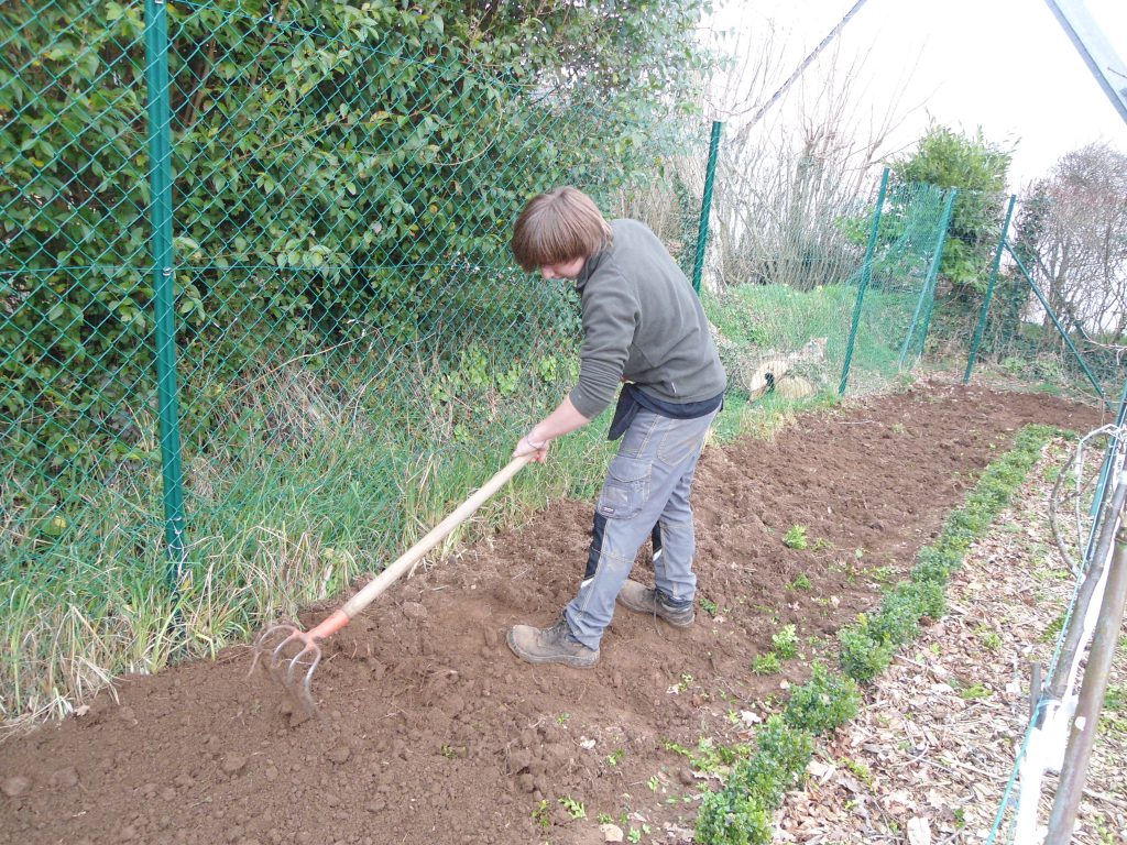 jardin d'ornement