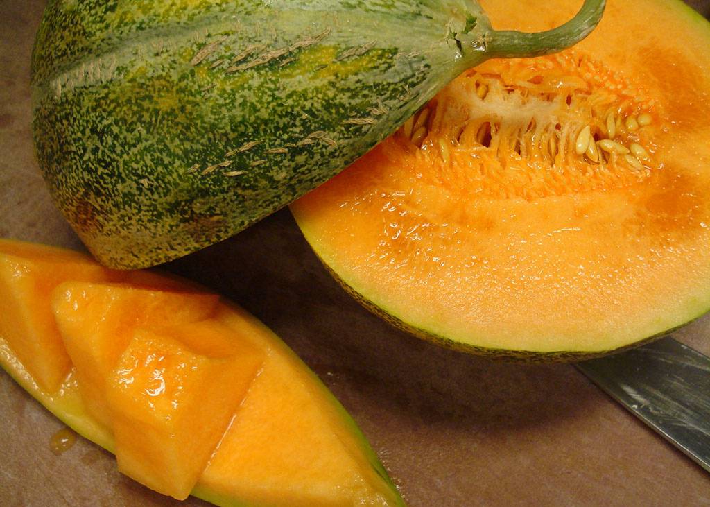 melon-petit-gris-de-rennes-bio