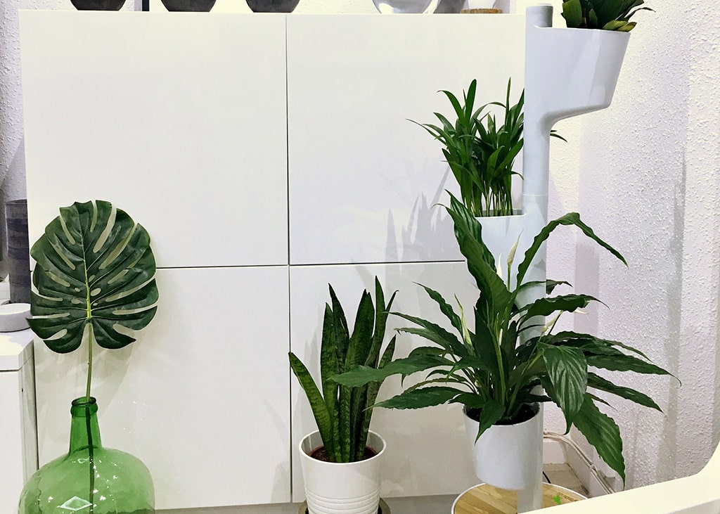 jardiniere-citysens-autonome