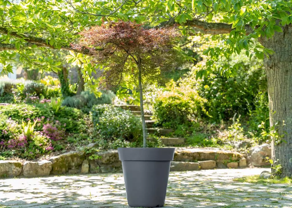 grand-pot-de-fleur-rond-papi