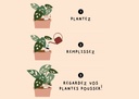 Olla à planter - terracotta