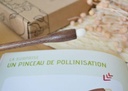 Coffret de jardinage "Marchés de Provence"