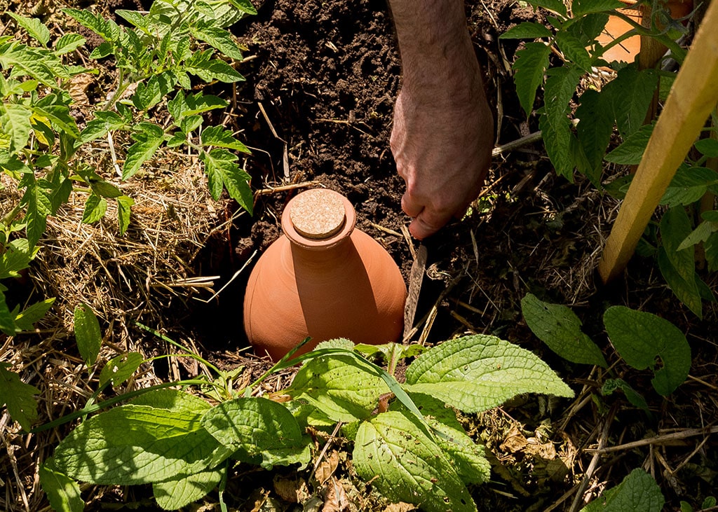 olla-en-terre-cuite-2-litres