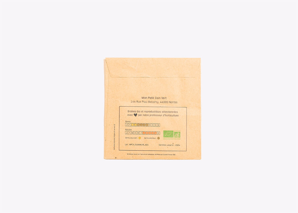 Guimauve officinale DL