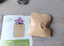 Coffret de jardinage "Le potager fantastique"