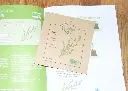 Coffret de jardinage "Place à la décoction" 
