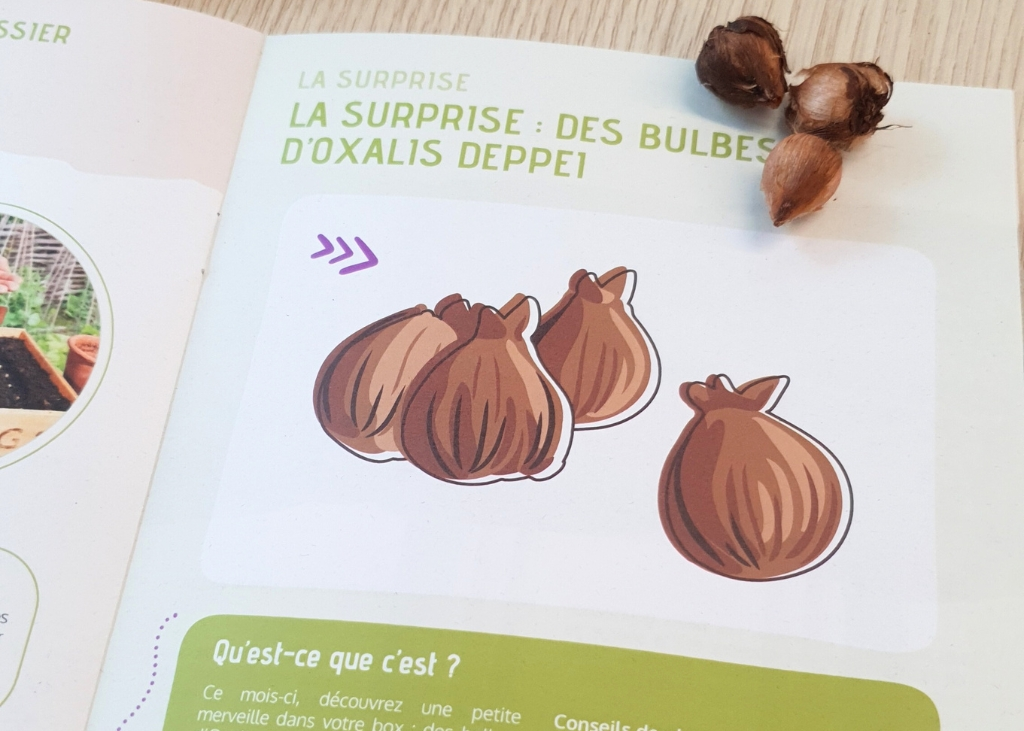 Coffret de jardinage "Purple Rain"
