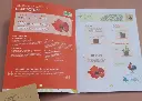 Coffret de jardinage "La poule aux oeufs d'or" 