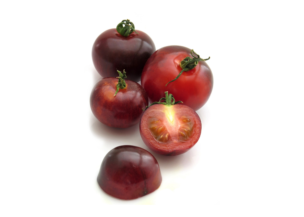 Tomate indigo blue beauty AB