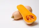 Courge musquée Butternut AB