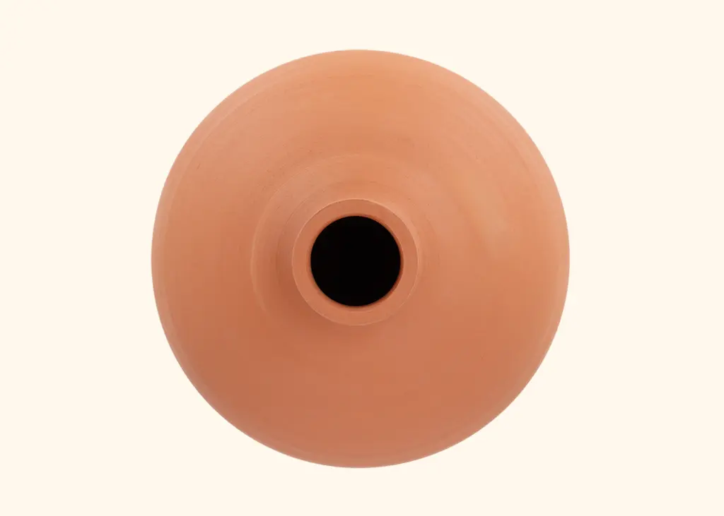 Olla 6L avec bouchon 