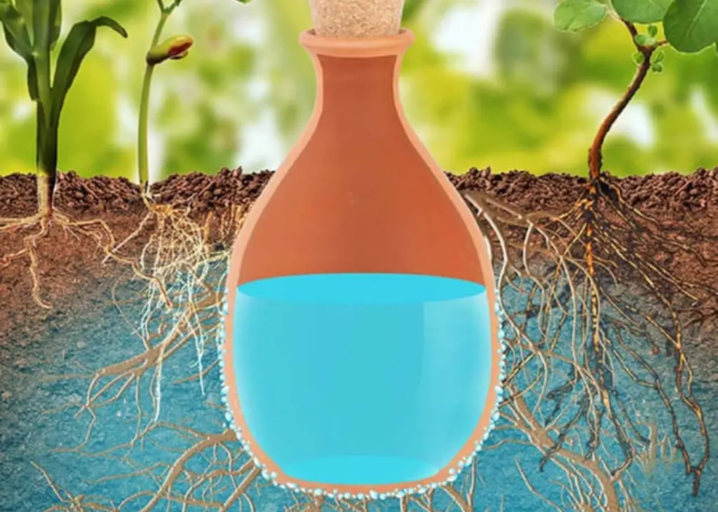 Olla 6L avec bouchon 