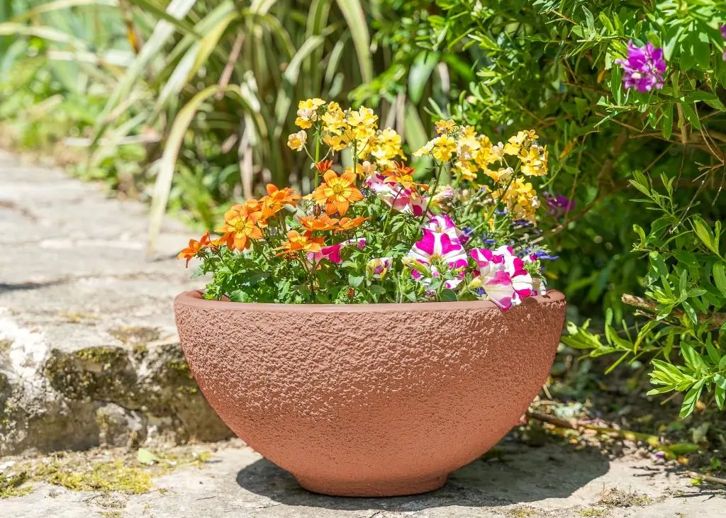 vasque-de-jardin-papi-pot-fleurs-small-couleur-terre-cuite.webp