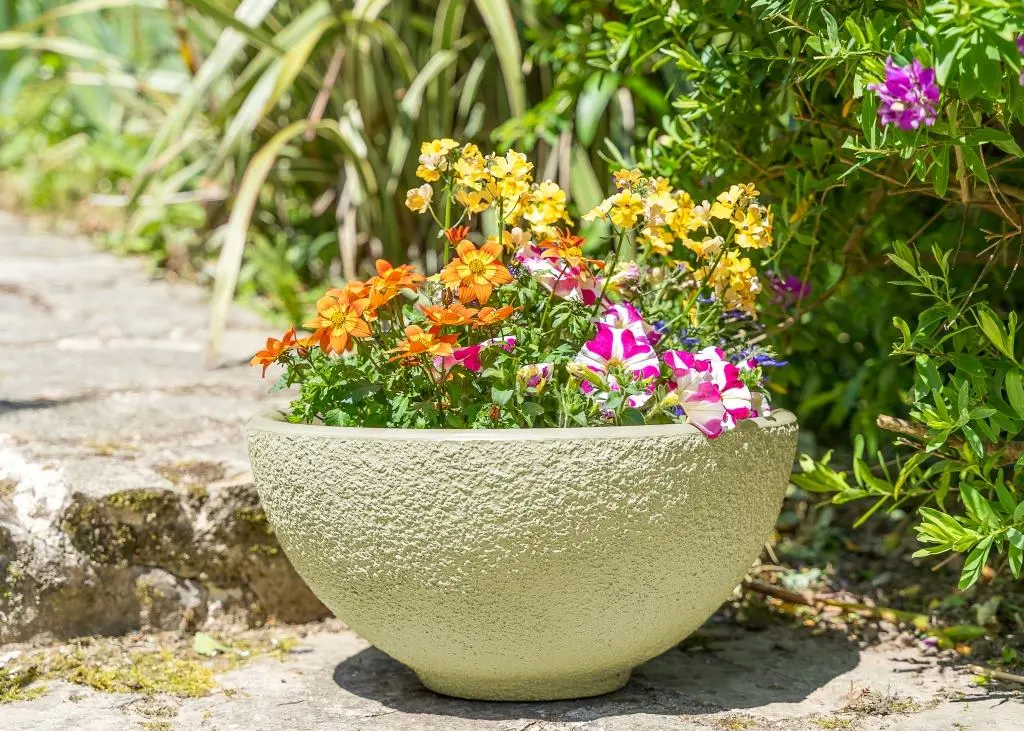 vasque-de-jardin-papi-pot-fleurs-small-vert-olive