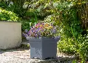 pot-de-fleurs-carre-papi-small-modele-carl-gris-anthracite