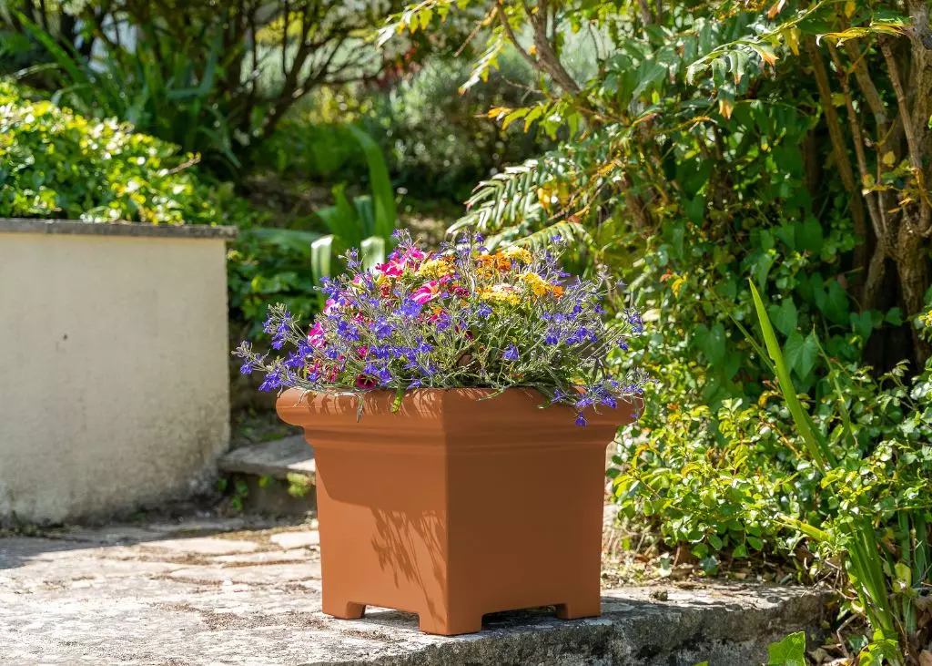 pot-de-fleurs-carre-papi-small-modele-carl-terre-cuite.webp