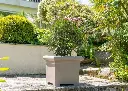 pot-de-fleurs-carre-papi-medium-modele-carl-gris-taupe