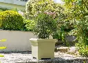 pot-de-fleurs-carre-papi-medium-modele-carl-vert-olive
