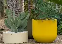 Pot Papi Lune : pot de fleurs en PEHD résistant