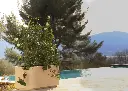 Jardinière rectangulaire Néo en PEHD - PAPI