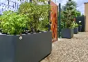 Jardinière rectangulaire Néo en PEHD - PAPI