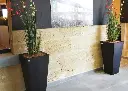 Pot Papi design carré : pot de fleurs haut carré en PEHD made in france