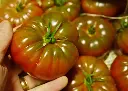 tomate-noire-de-crimée-bio