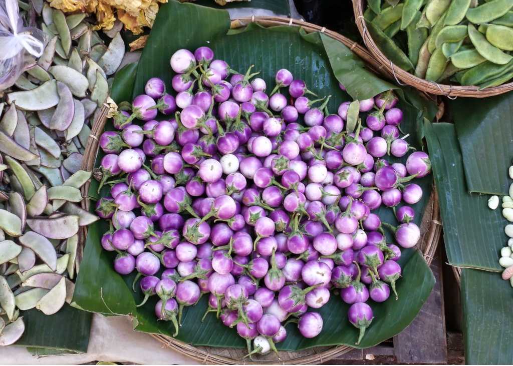 aubergine-thai-lavender-bio
