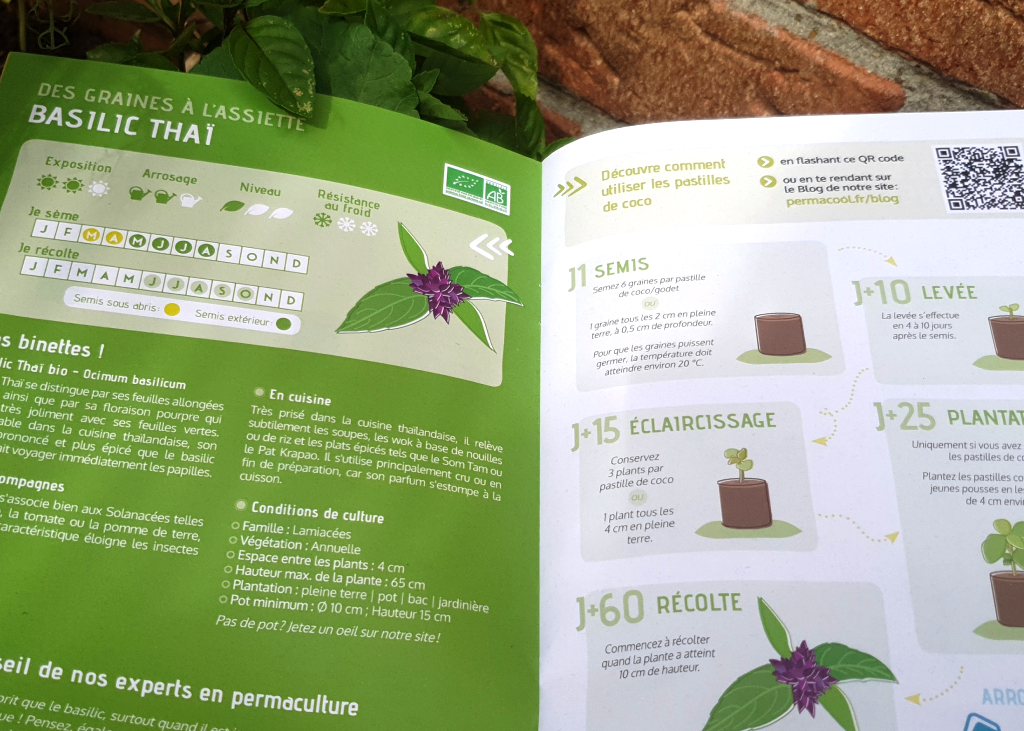 gazette-juin-2025-basilic-thai-bio