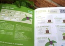 gazette-juin-2025-basilic-thai-bio