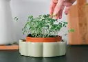 Pot pour plantes autonome George