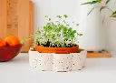 Pot pour plantes autonome George