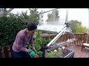 Mini serre de jardin