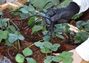 systeme-arrosage-goutte-a-goutte