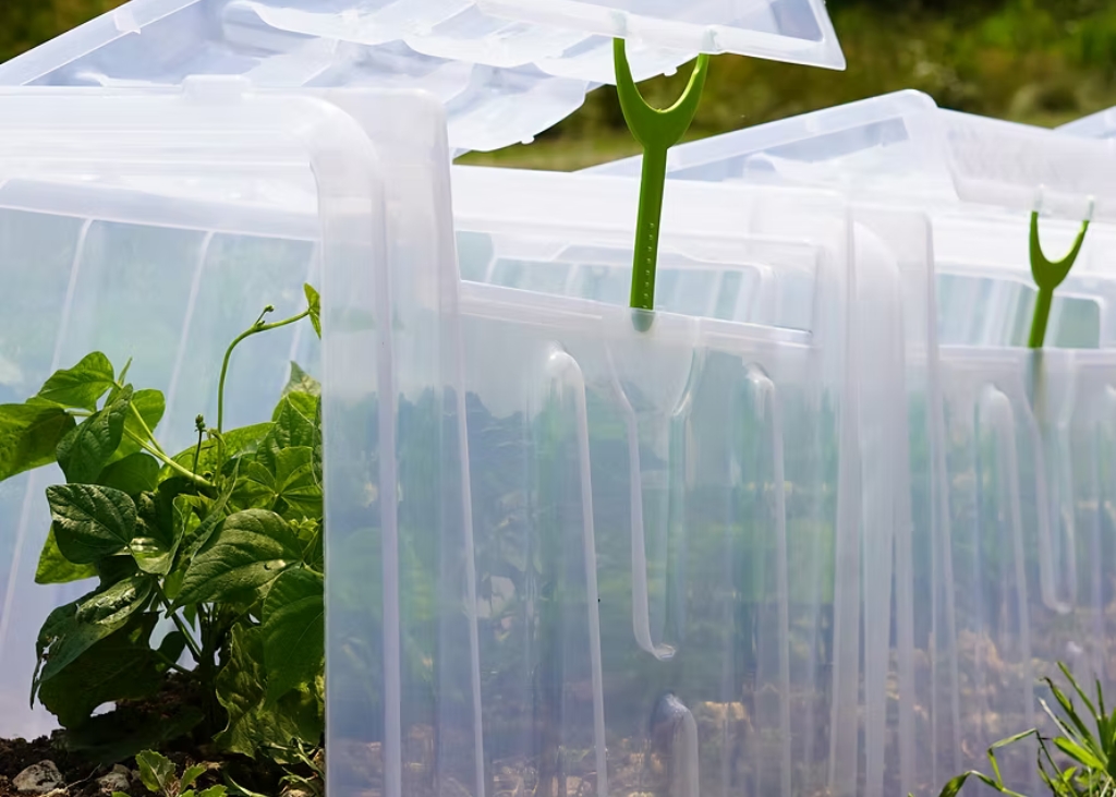 serre-de-jardin-modulo-60