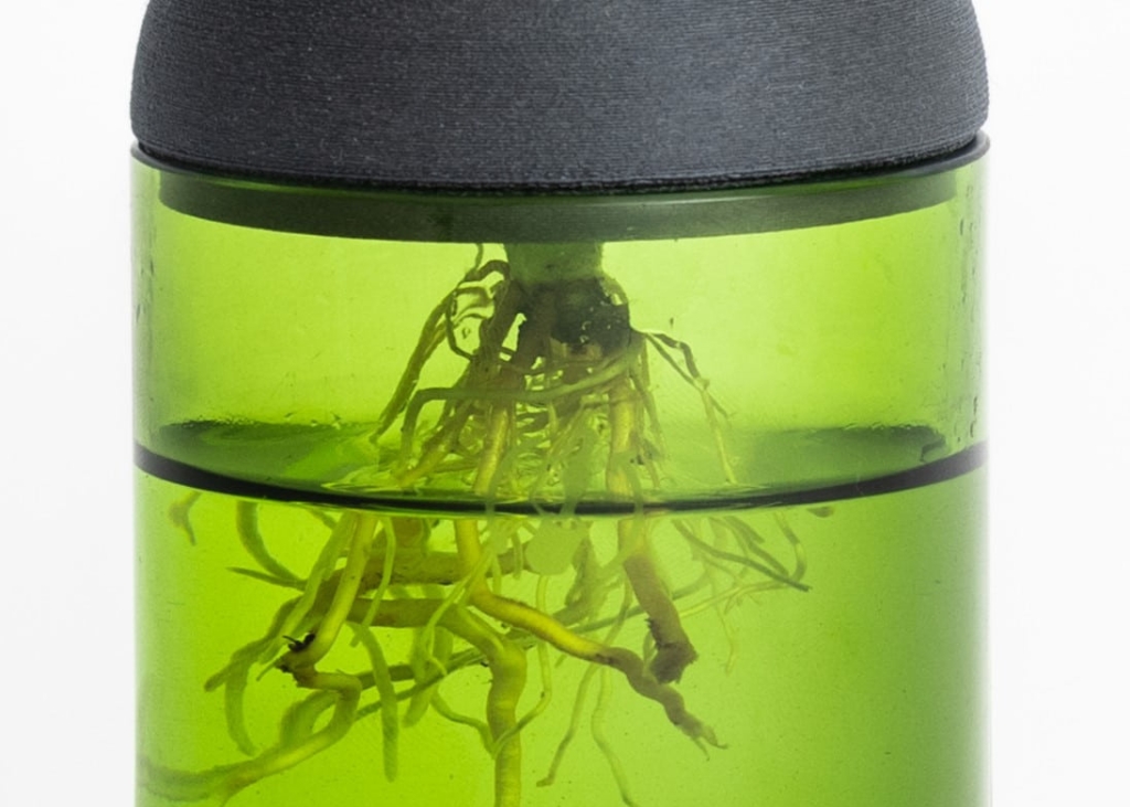 pot-pour-hydroculture-vert-ébène2