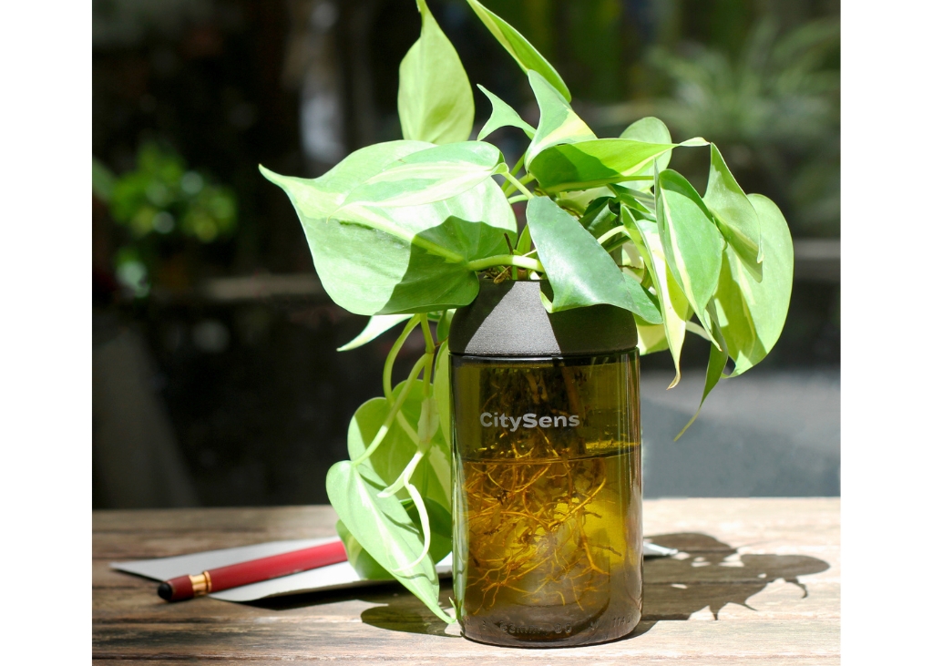 pot-pour-hydroculture-ambrée-ébène1