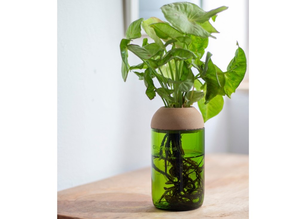 pot-pour-hydroculture-vert-pin1