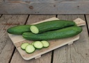 concombre-tanja-graines