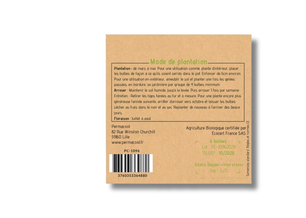 bulbes-oxalis-deppei