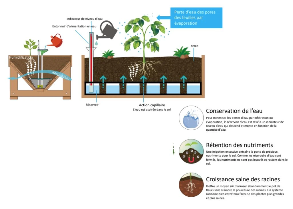 fonctionnement-arrosage-autonome-23-litres