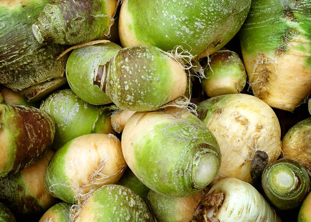 rutabaga
