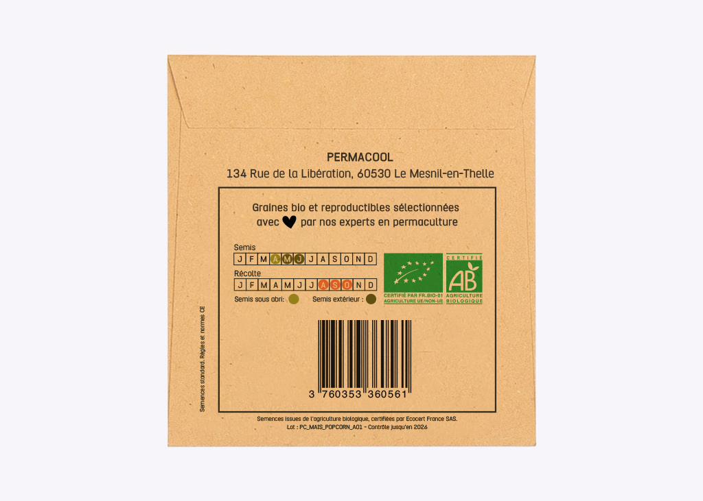 graines-de-mais-pop-corn-noir