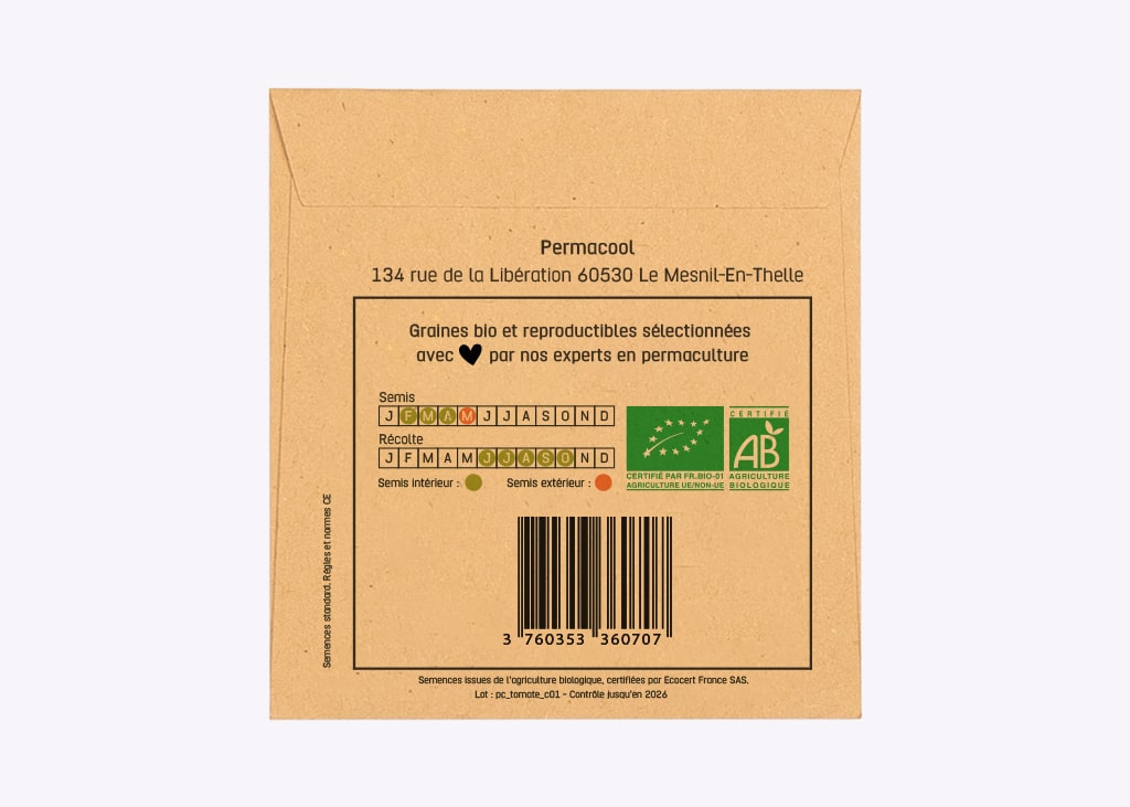 graines-de-tomate-andine-cornue