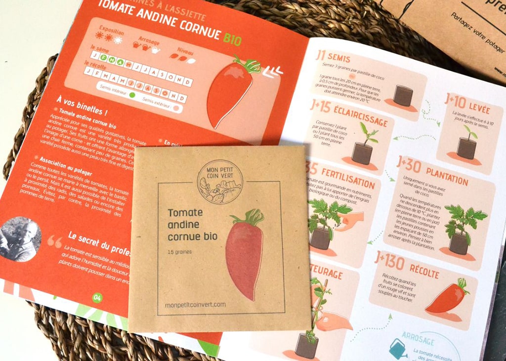 tomate-andine-cornue