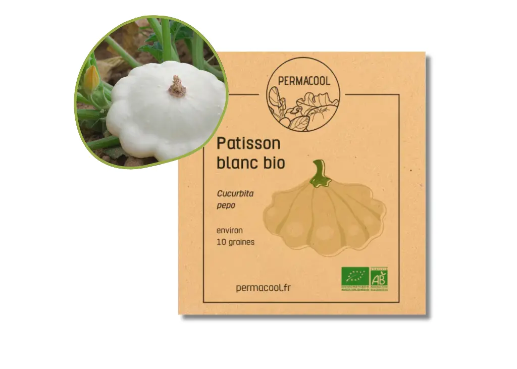Pâtisson blanc AB - DL