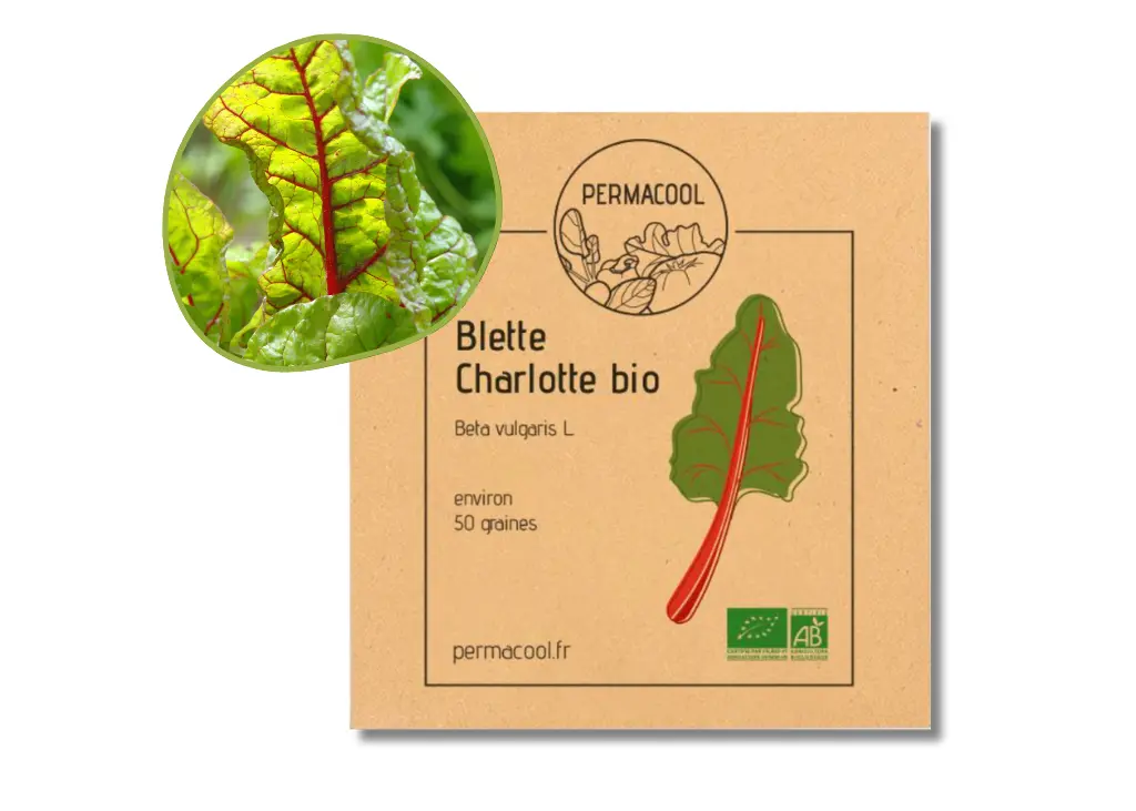 Blette Charlotte AB - DL