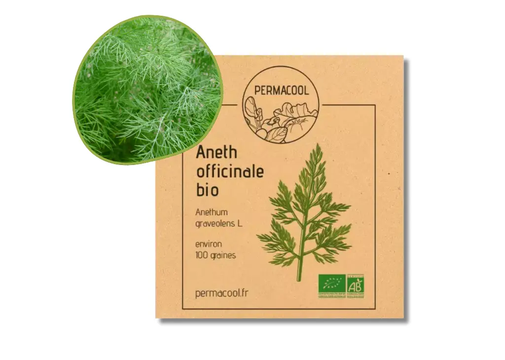 Aneth Officinale AB - DL