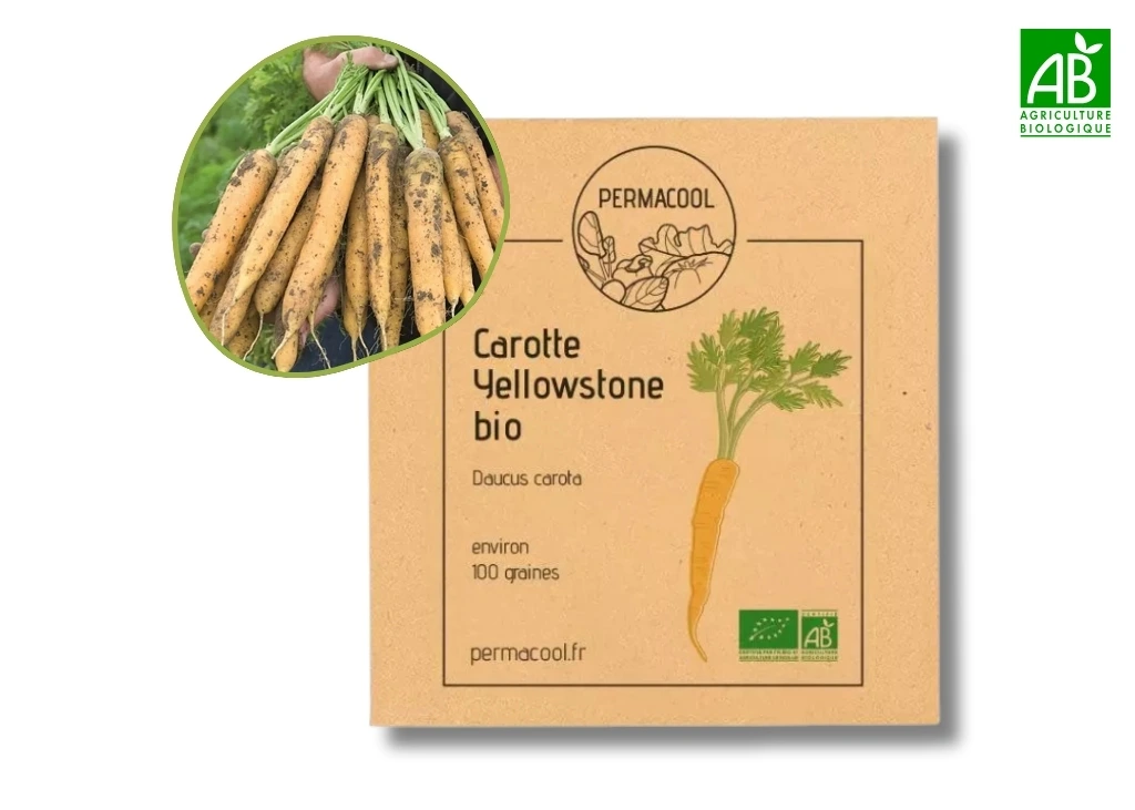 Carotte Yellowstone AB - DL